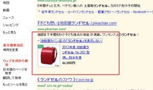 商品情報表示オプション