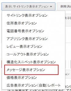 Google AdWords　メッセージ表示オプション